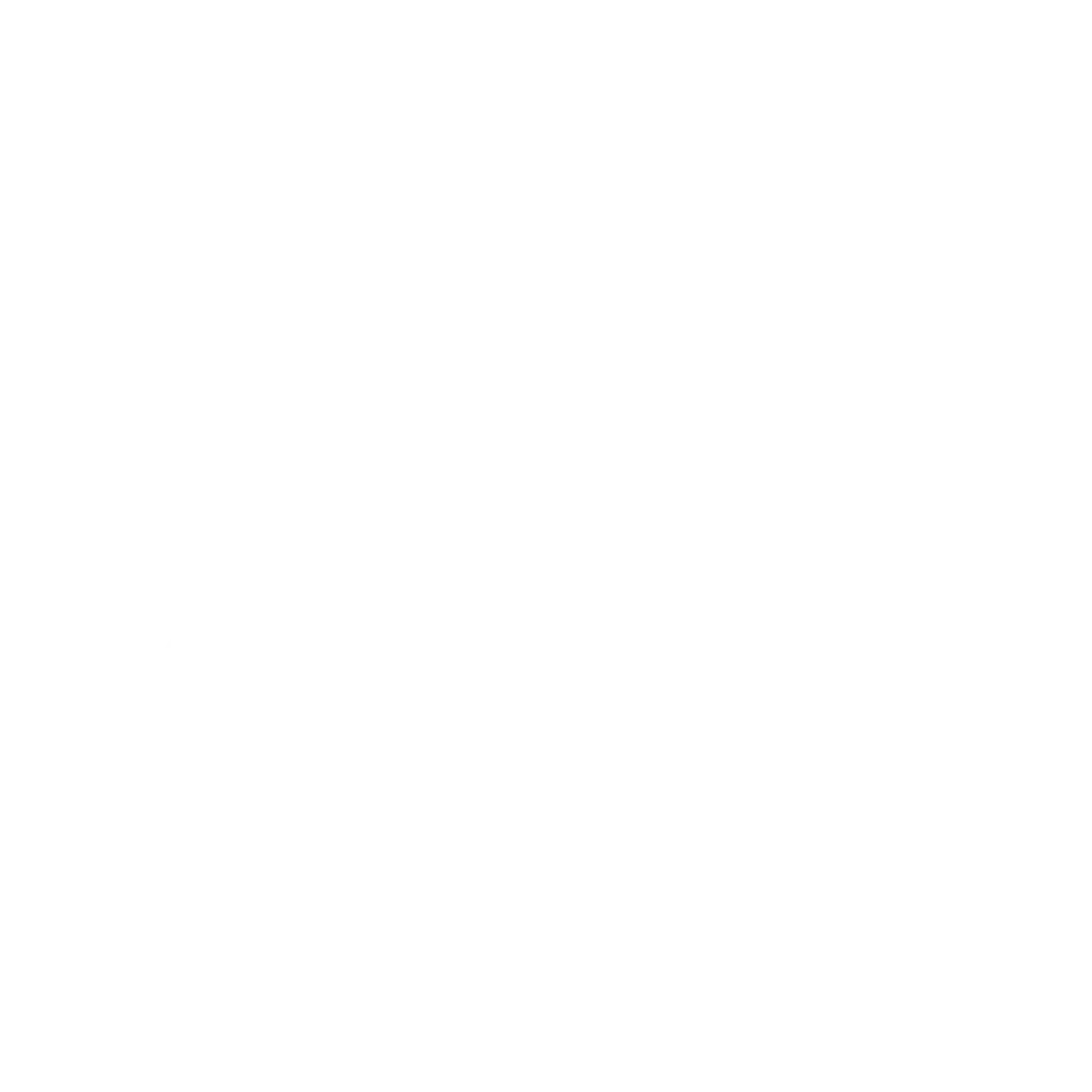 AILU LOGO MAIN